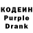 Codein Purple Drank gala danilova