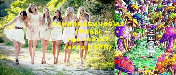твердый Надым