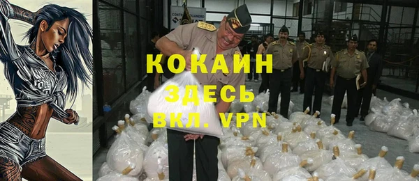 твердый Надым