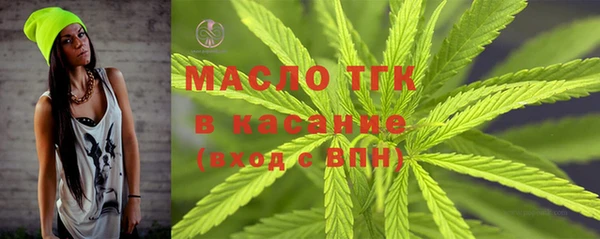 твердый Надым