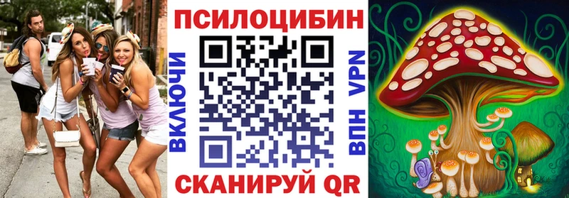 Псилоцибиновые грибы Psilocybe  omg зеркало  Коряжма  наркошоп 