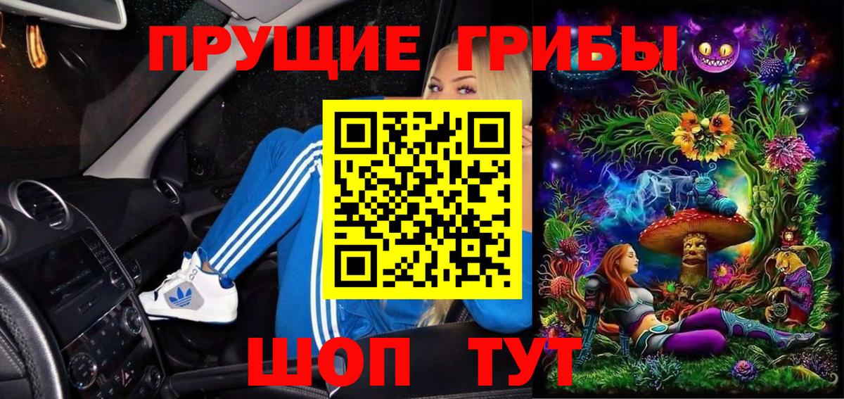 Галлюциногенные грибы GOLDEN TEACHER  Вход с VPN  как найти   Коряжма 