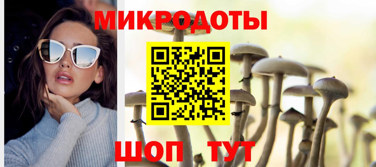 Псилоцибиновые грибы Psilocybe  Коряжма 