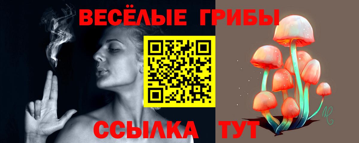 Марихуана Коряжма