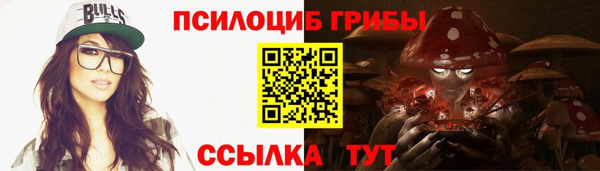 Псилоцибиновые грибы мицелий Коряжма